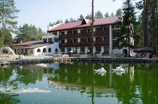 Парк-Отель Усадьба Мещёрская Гусь-Хрустальный-3